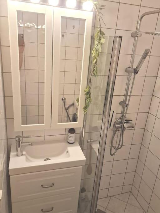 Sjarmerende I Hjerte Av By Apartment